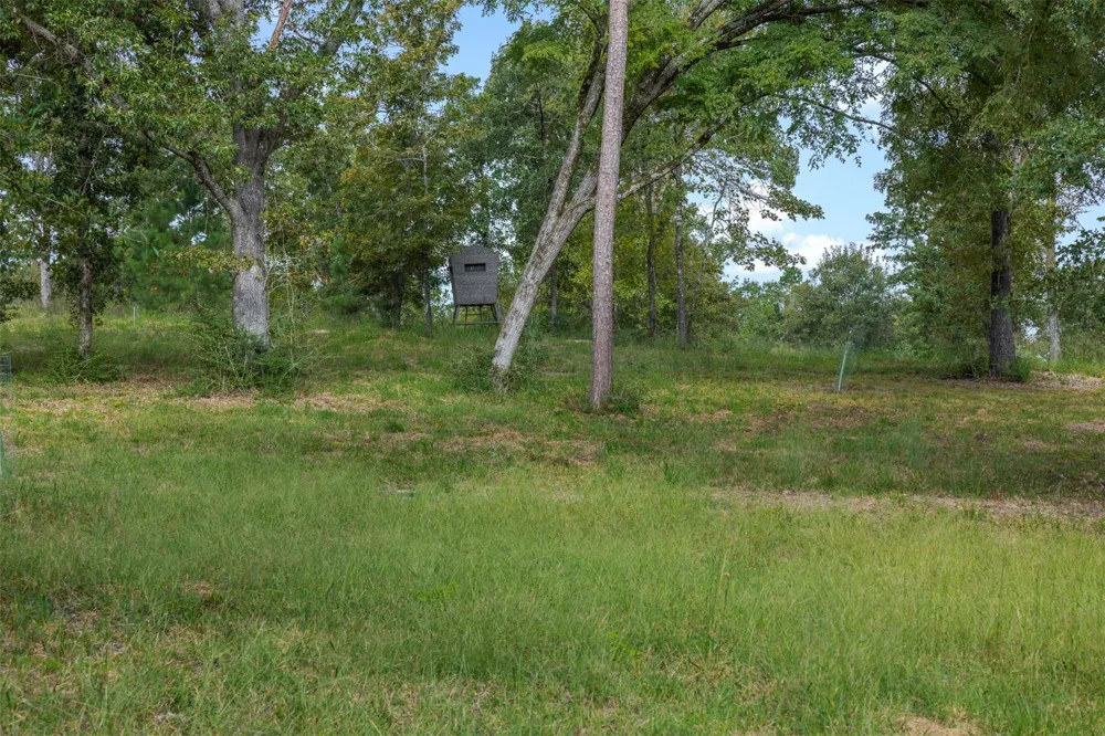 8980 Fm 1511 Oakwood, TX 75855