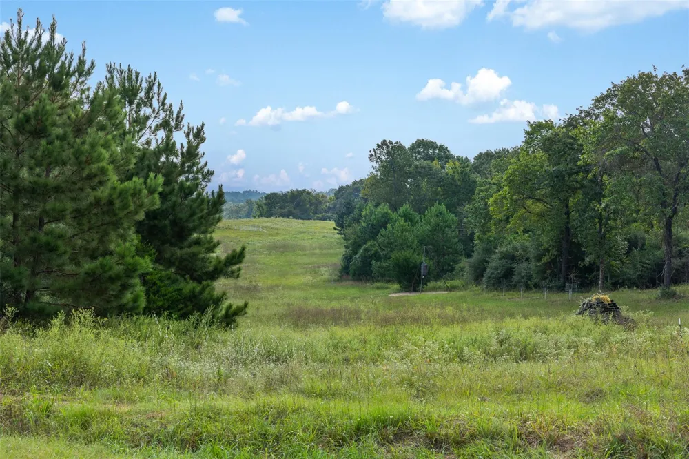 8980 Fm 1511 Oakwood, TX 75855