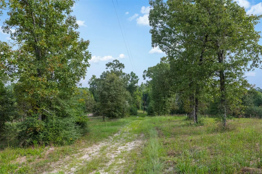 8980 Fm 1511 Oakwood, TX 75855