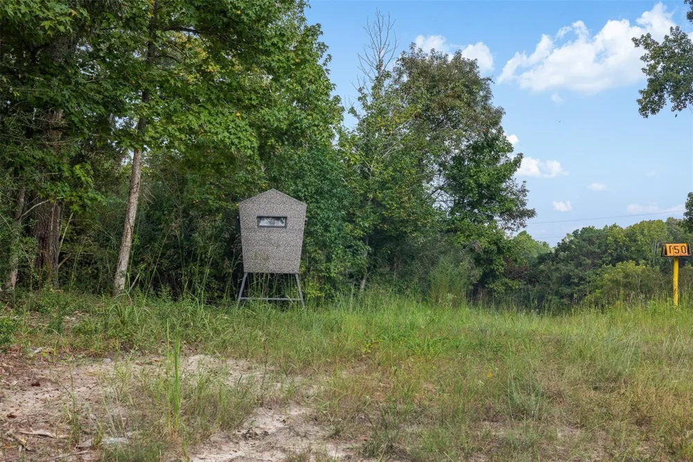 8980 Fm 1511 Oakwood, TX 75855