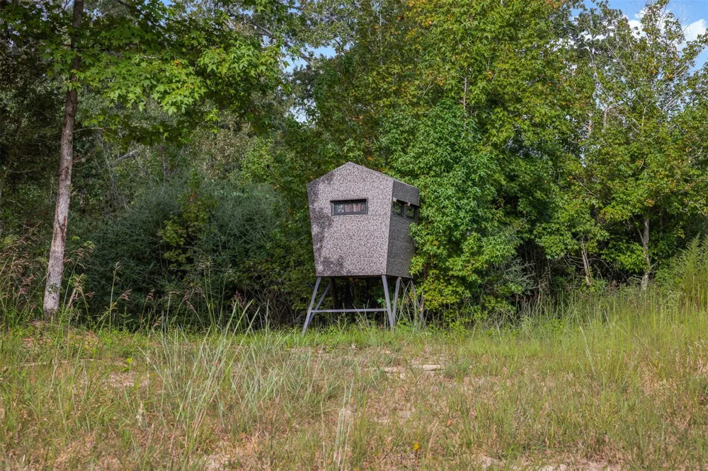 8980 Fm 1511 Oakwood, TX 75855