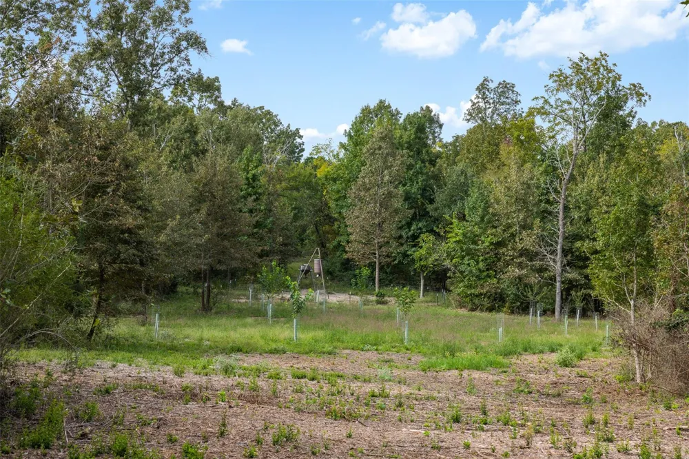 8980 Fm 1511 Oakwood, TX 75855