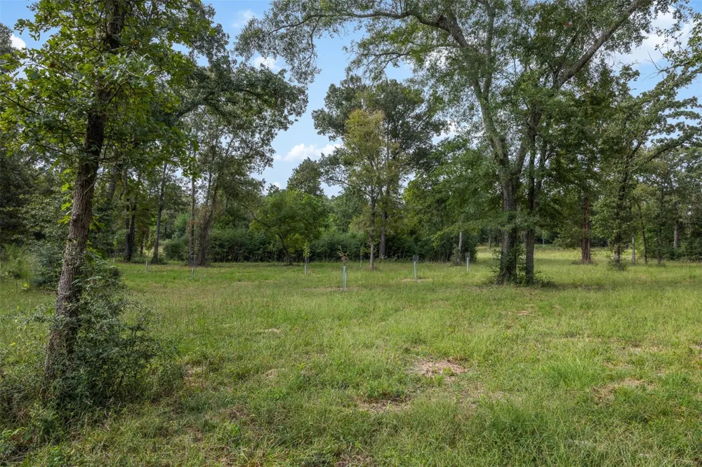 8980 Fm 1511 Oakwood, TX 75855