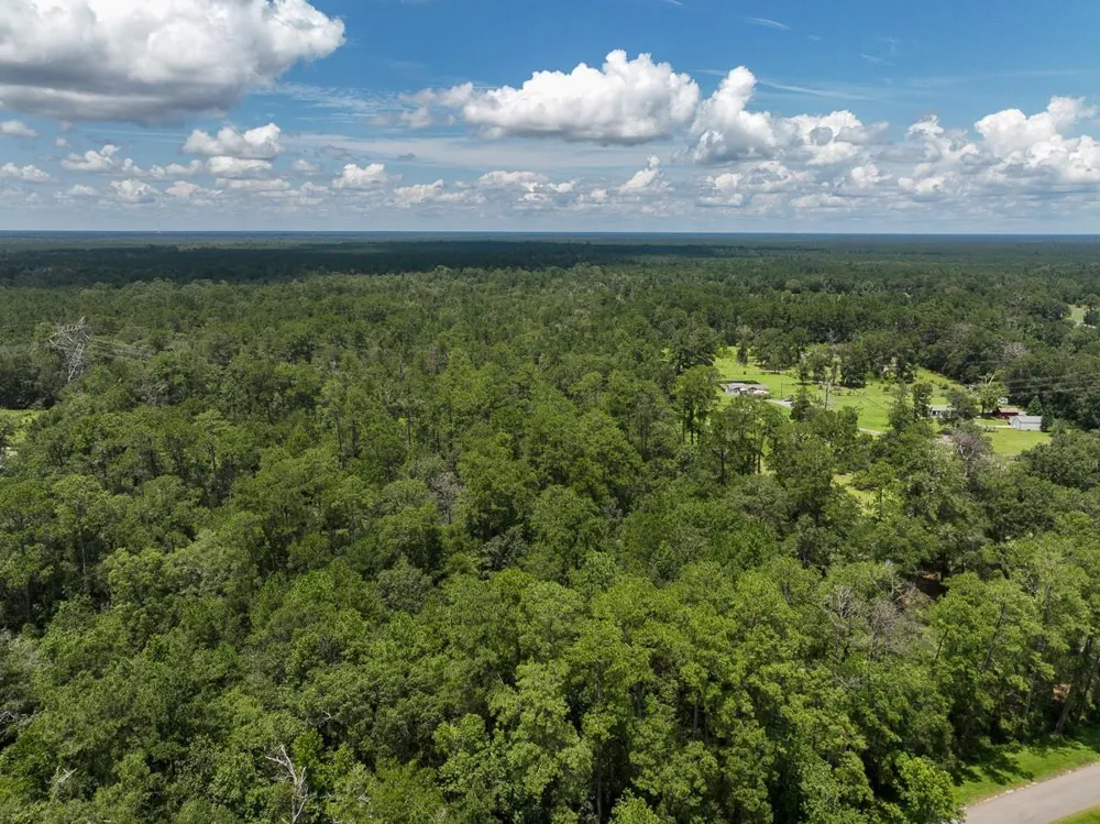 3 County Road 821 Mauriceville, TX 77612