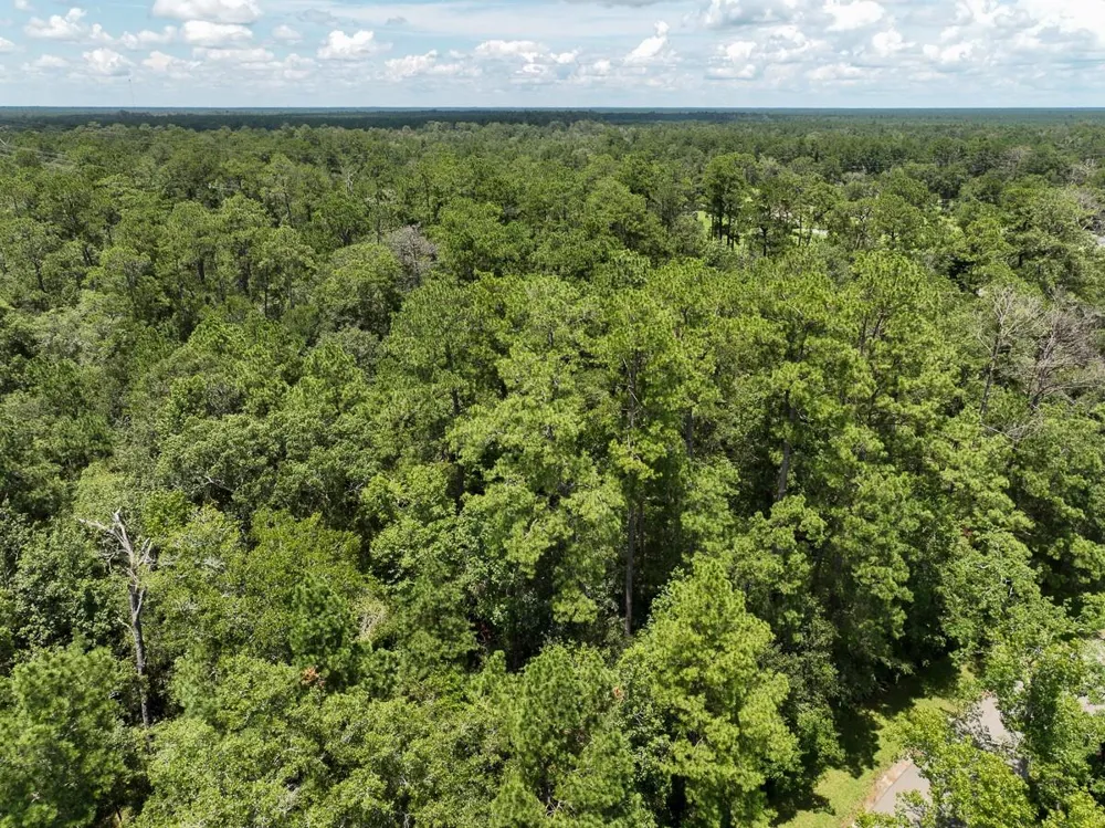 3 County Road 821 Mauriceville, TX 77612