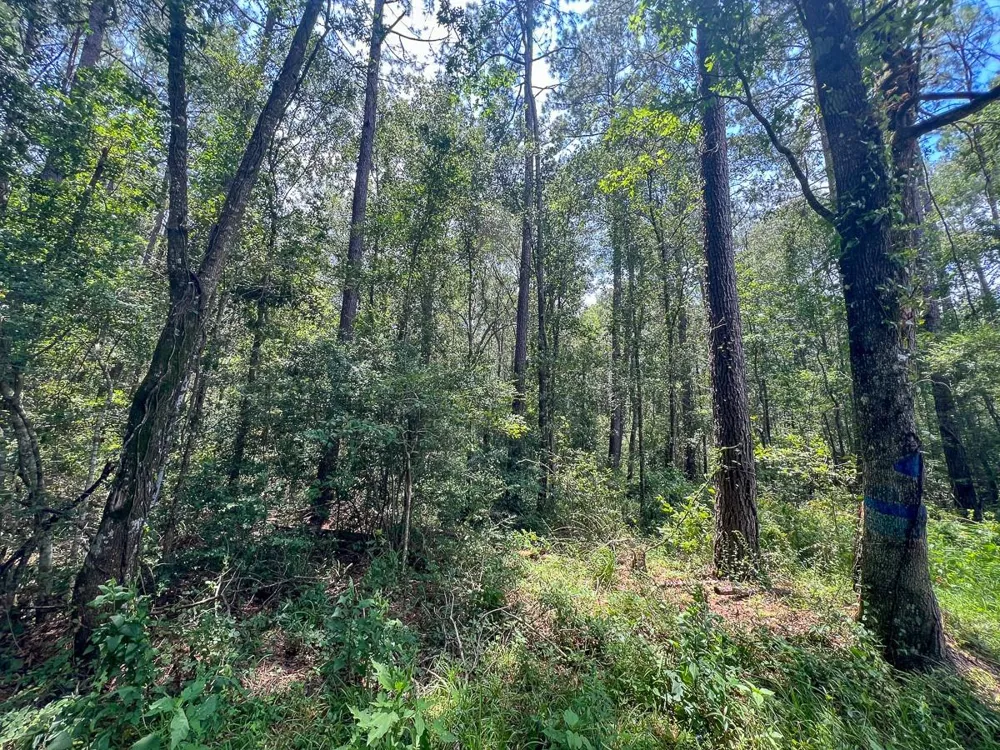 3 County Road 821 Mauriceville, TX 77612