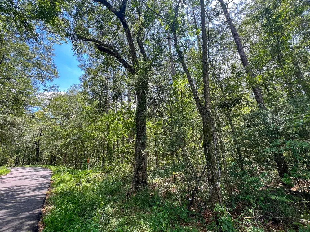 3 County Road 821 Mauriceville, TX 77612