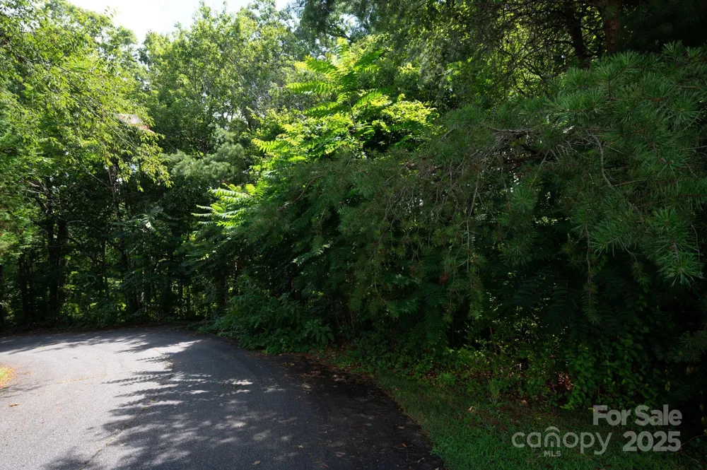 Lot 20 Line Drive Forest City, NC 28043