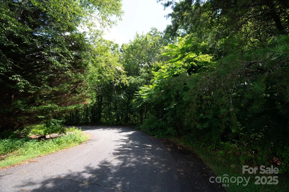 Lot 20 Line Drive Forest City, NC 28043