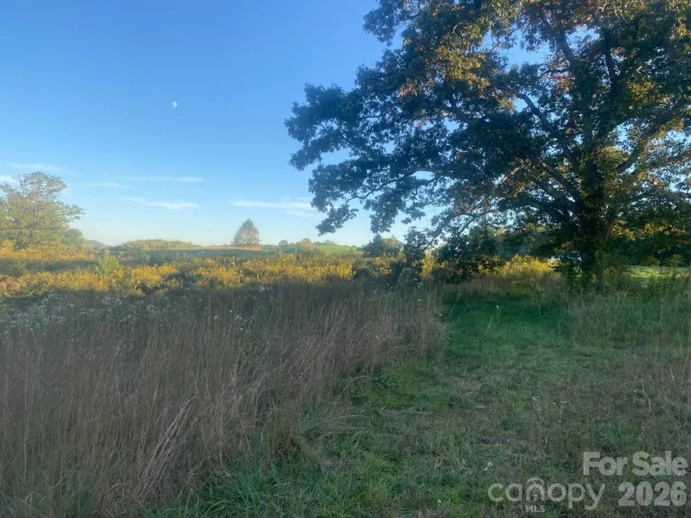 126 & 128 Cook Lane Mills River, NC 28759