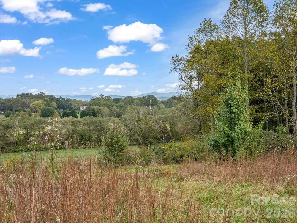 126 & 128 Cook Lane Mills River, NC 28759