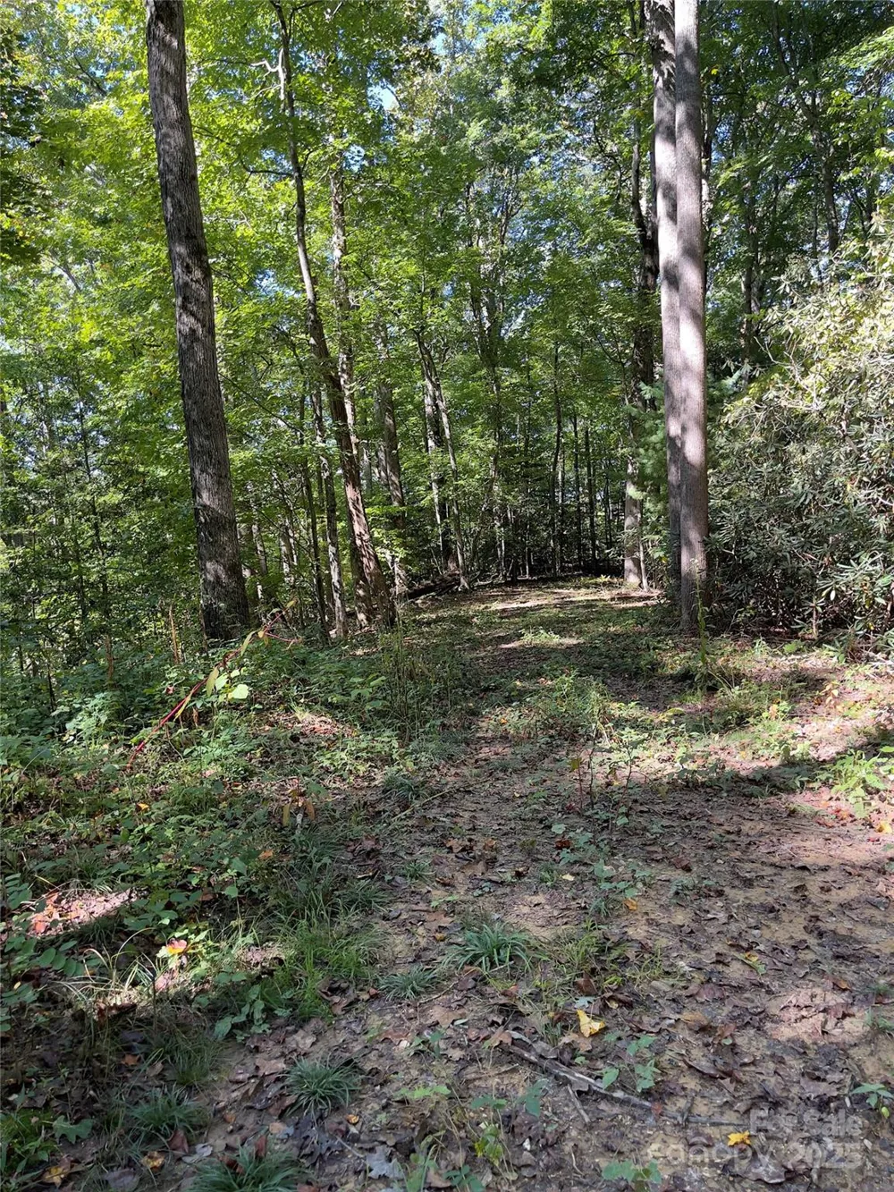 0 Empress Lane Henderson, NC 28792