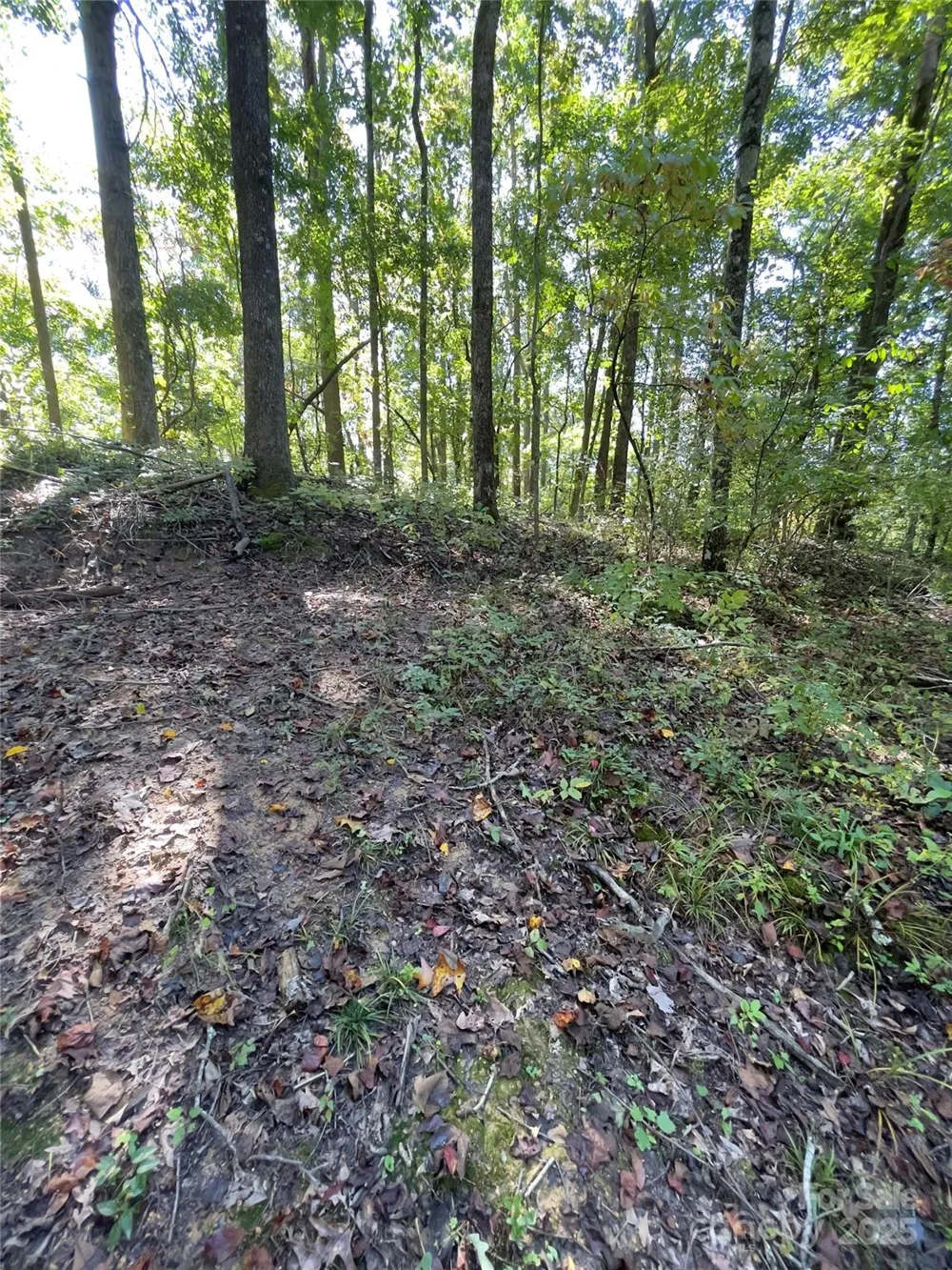 0 Empress Lane Henderson, NC 28792