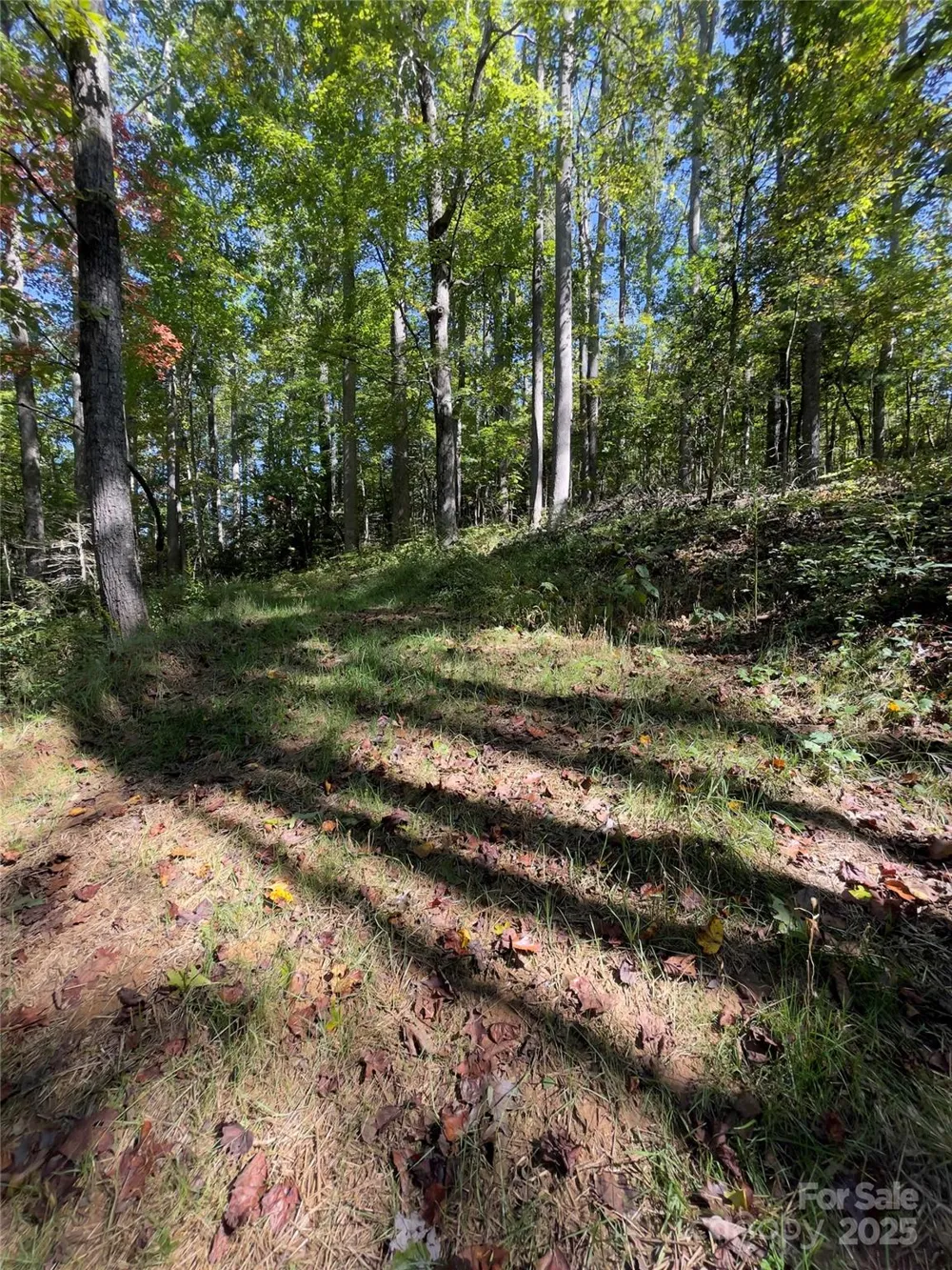 0 Empress Lane Henderson, NC 28792