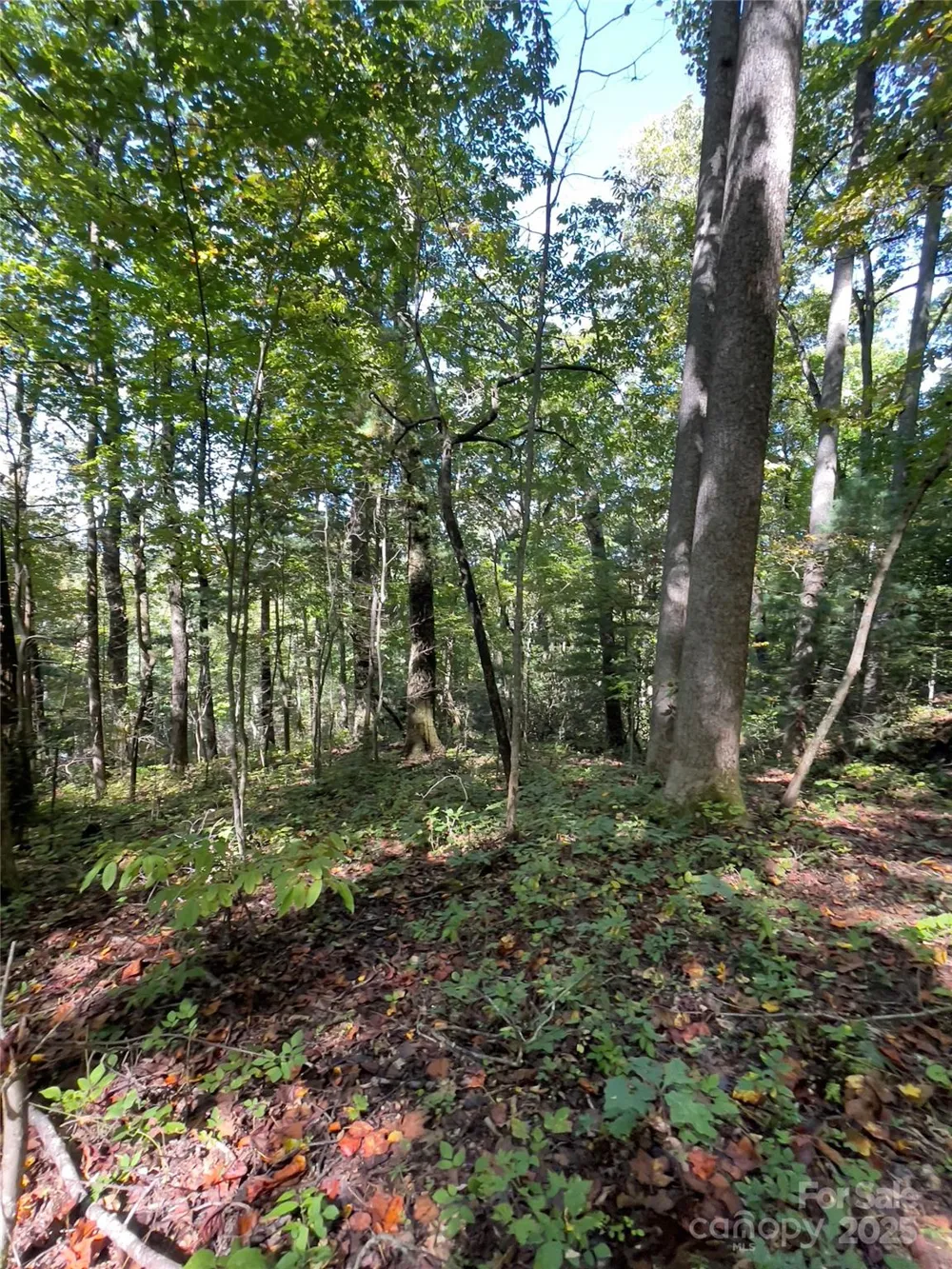 0 Empress Lane Henderson, NC 28792