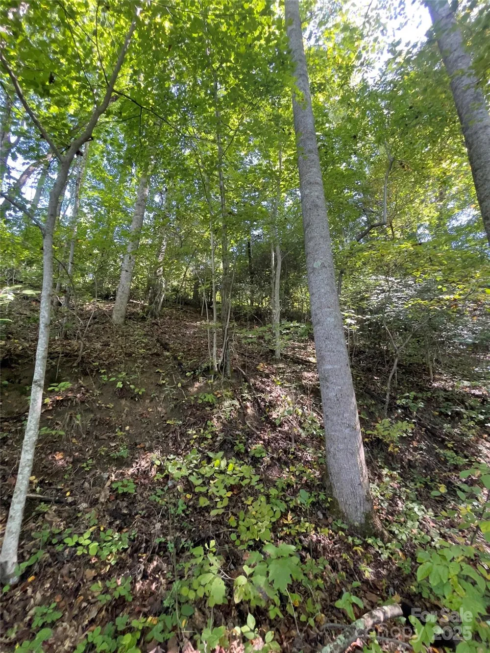 0 Empress Lane Henderson, NC 28792