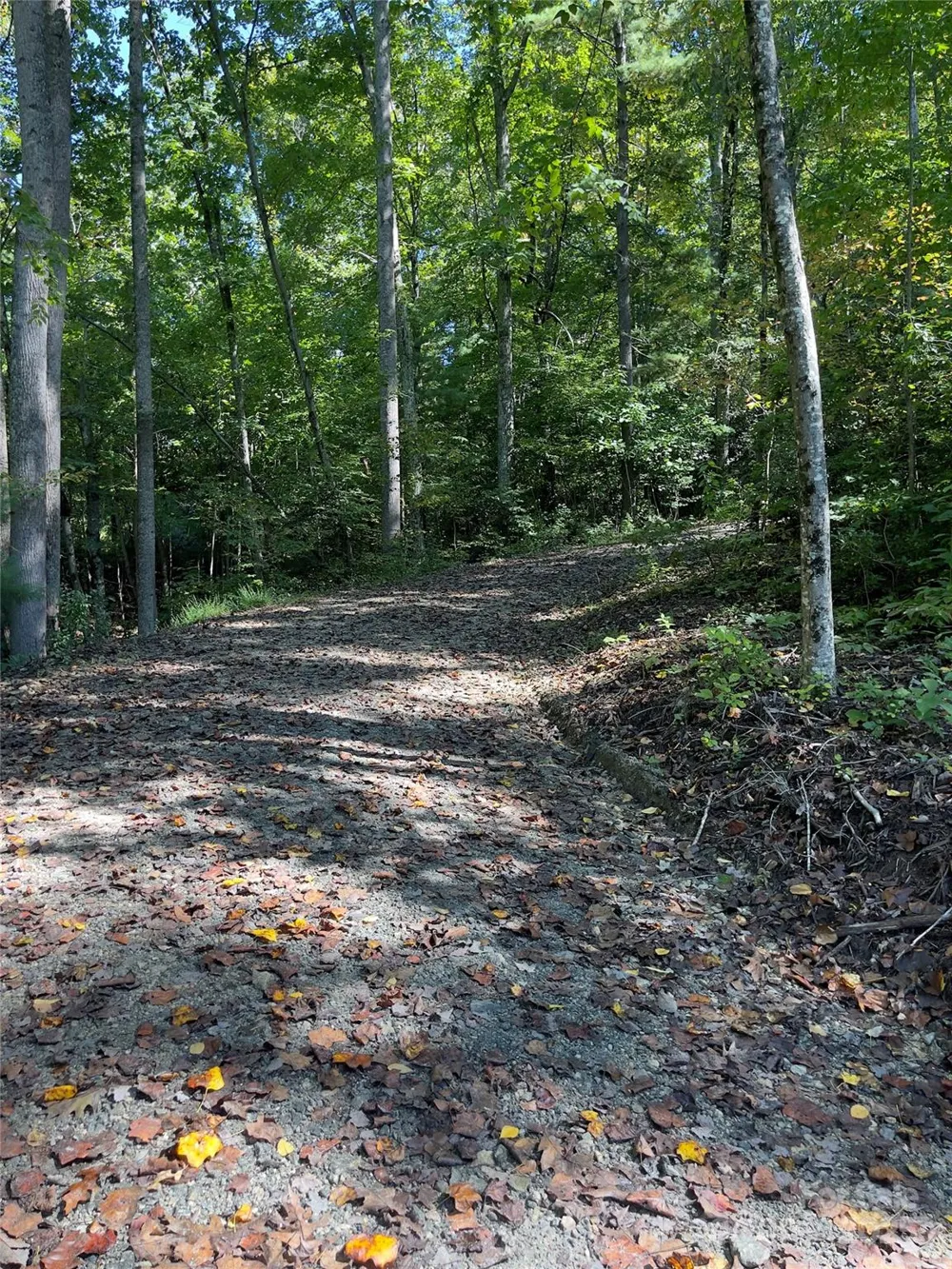 0 Empress Lane Henderson, NC 28792