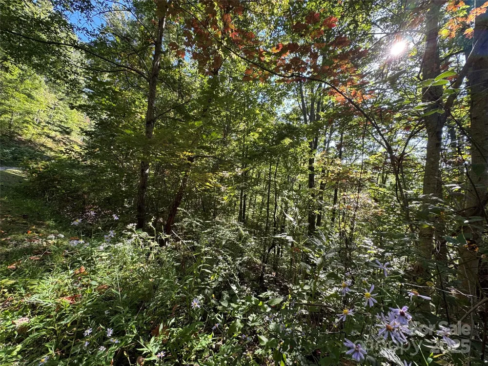 400 High Hickory Trail #25 Swannanoa, NC 28778