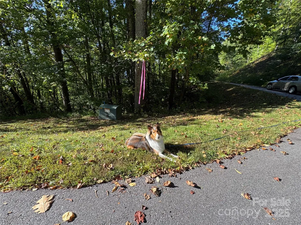 400 High Hickory Trail #25 Swannanoa, NC 28778
