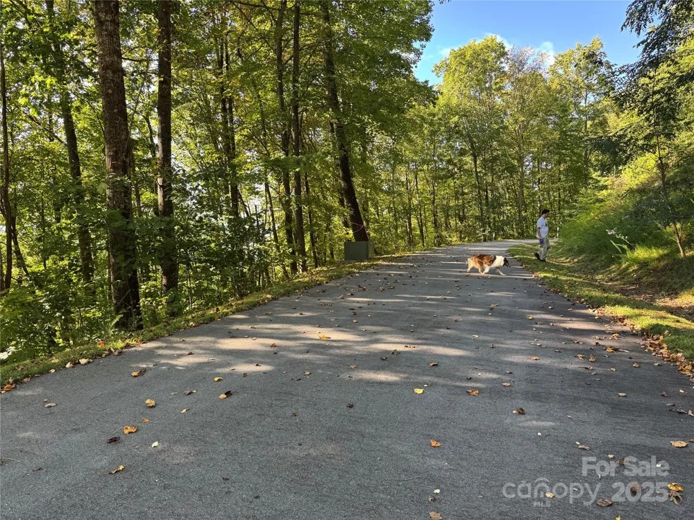 400 High Hickory Trail #25 Swannanoa, NC 28778