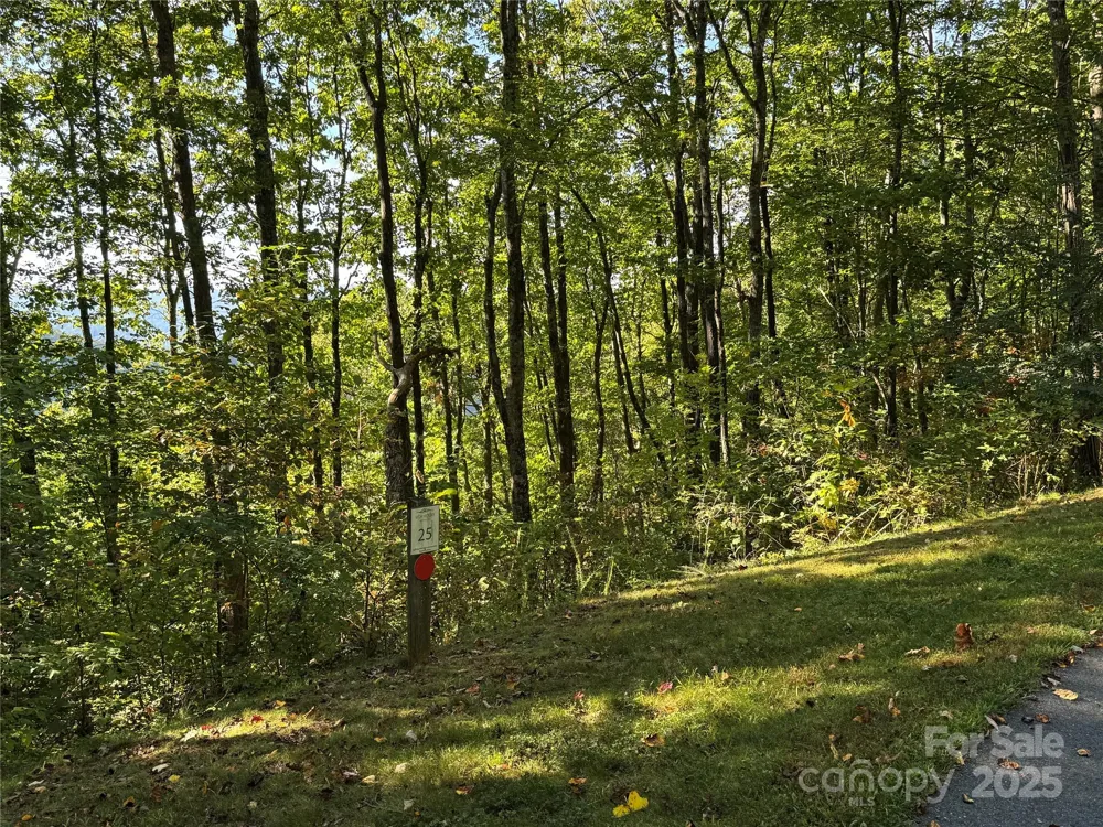 400 High Hickory Trail #25 Swannanoa, NC 28778