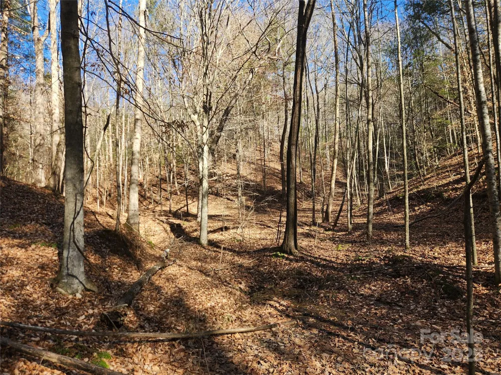 2500 Playmore Beach Road Lenoir, NC 28645