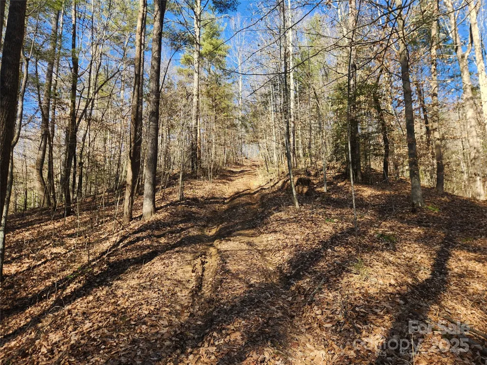 2500 Playmore Beach Road Lenoir, NC 28645