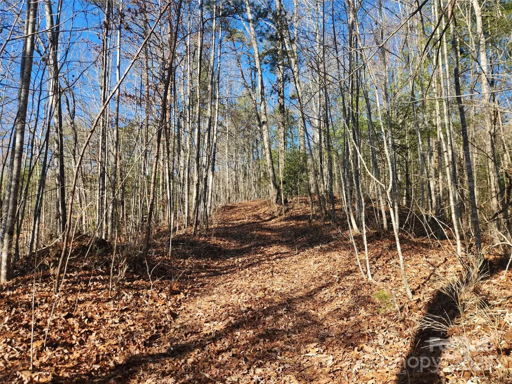 2500 Playmore Beach Road Lenoir, NC 28645