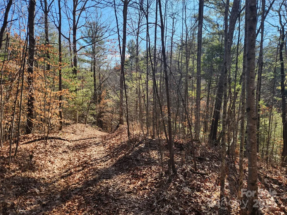 2500 Playmore Beach Road Lenoir, NC 28645