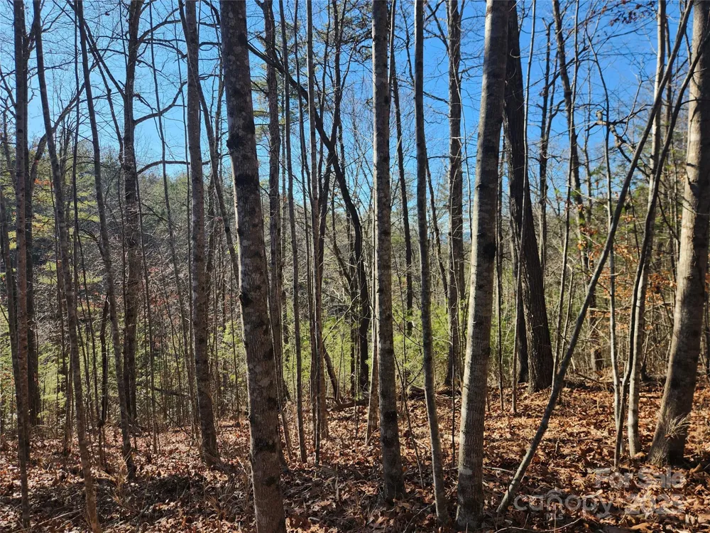 2500 Playmore Beach Road Lenoir, NC 28645