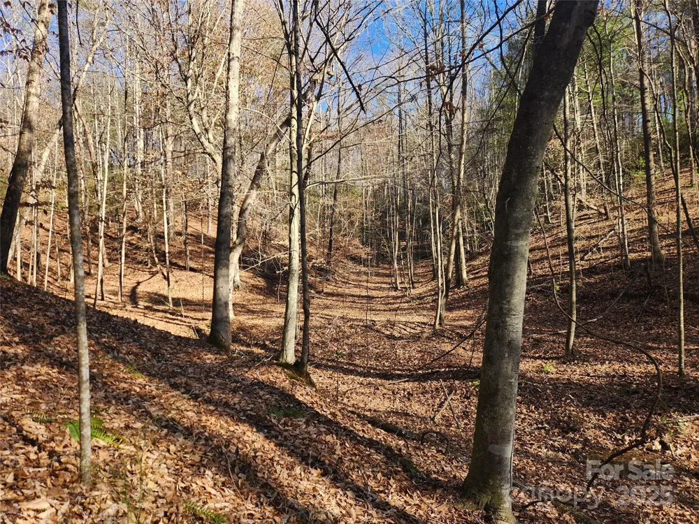 2500 Playmore Beach Road Lenoir, NC 28645