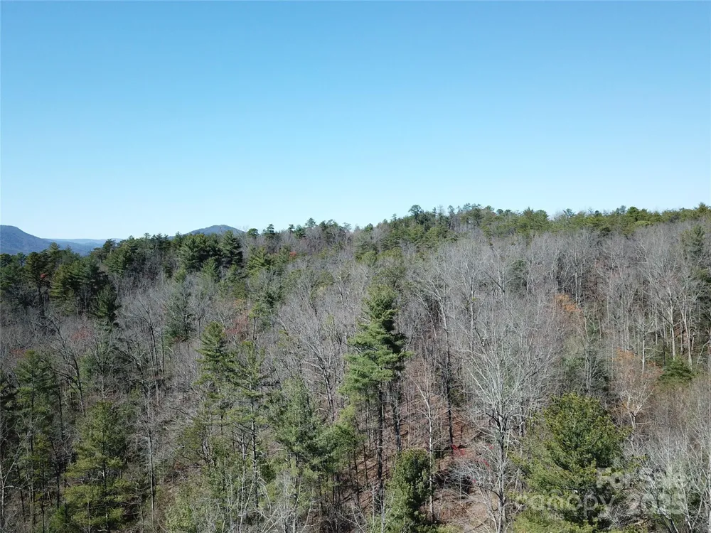 2500 Playmore Beach Road Lenoir, NC 28645