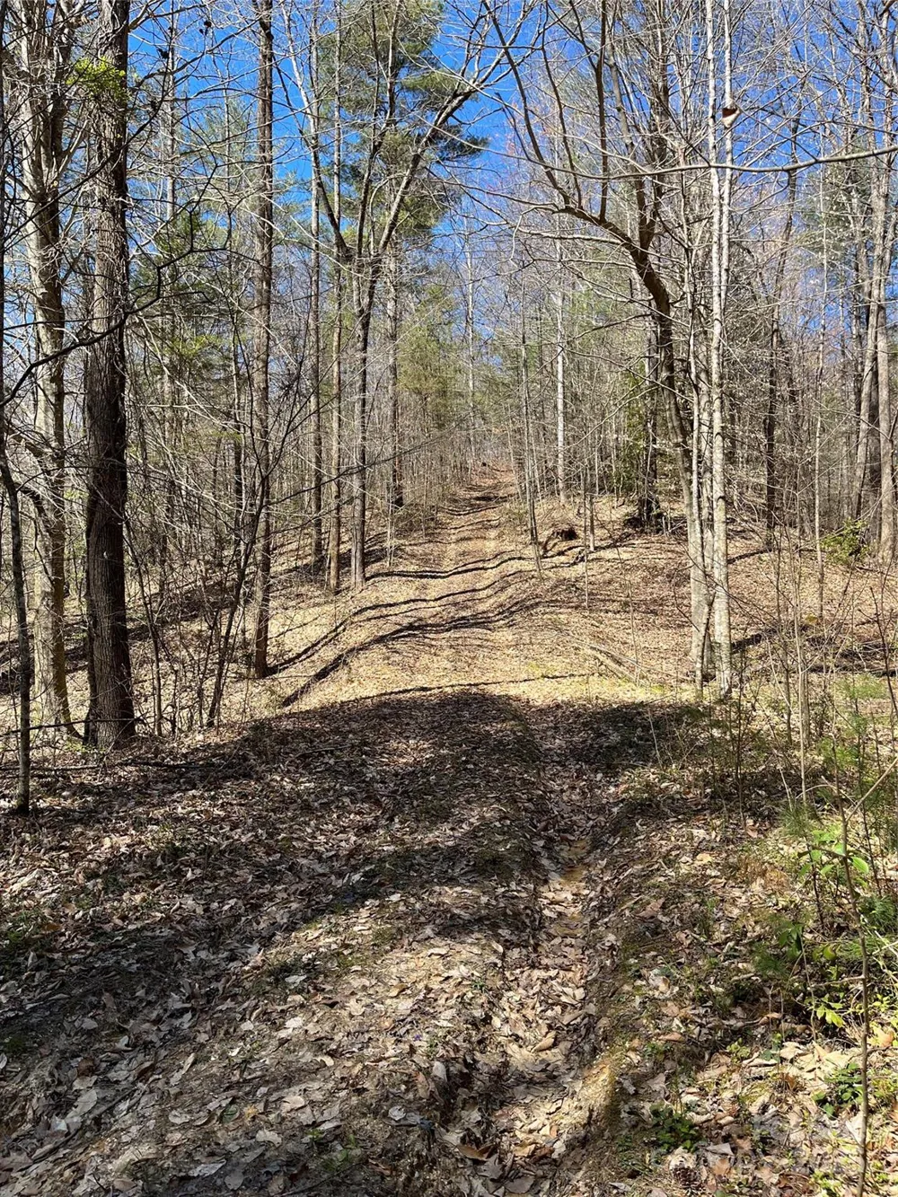 2500 Playmore Beach Road Lenoir, NC 28645