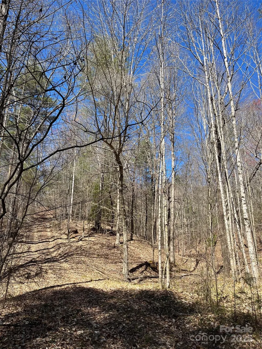2500 Playmore Beach Road Lenoir, NC 28645
