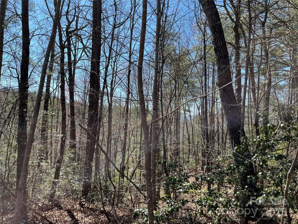 2500 Playmore Beach Road Lenoir, NC 28645