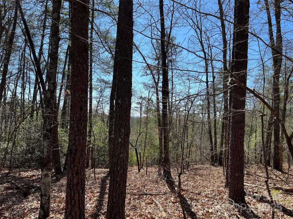 2500 Playmore Beach Road Lenoir, NC 28645