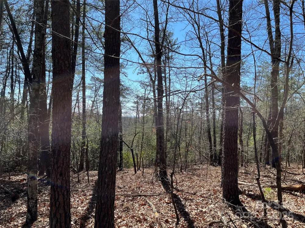 2500 Playmore Beach Road Lenoir, NC 28645