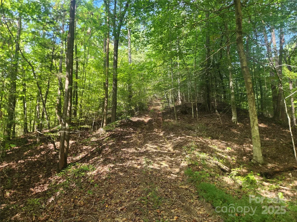 2500 Playmore Beach Road Lenoir, NC 28645