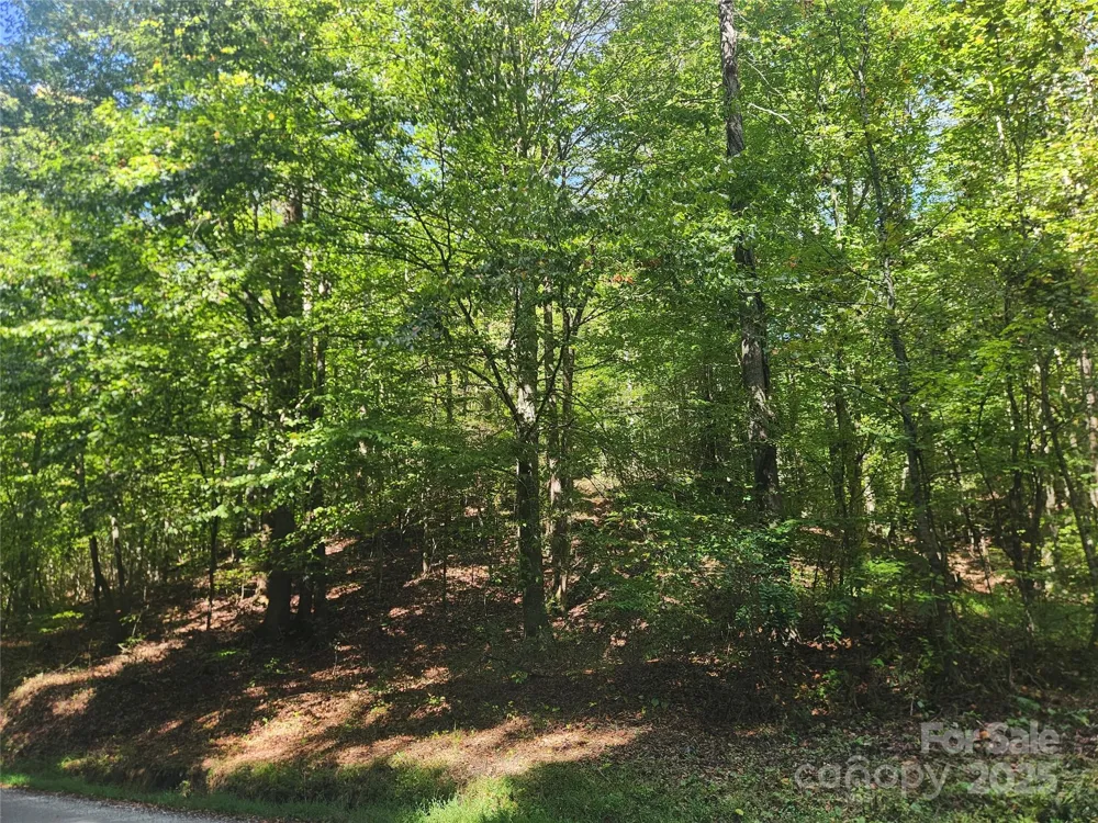 2500 Playmore Beach Road Lenoir, NC 28645