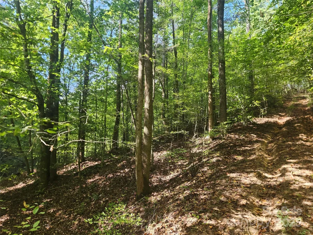 2500 Playmore Beach Road Lenoir, NC 28645
