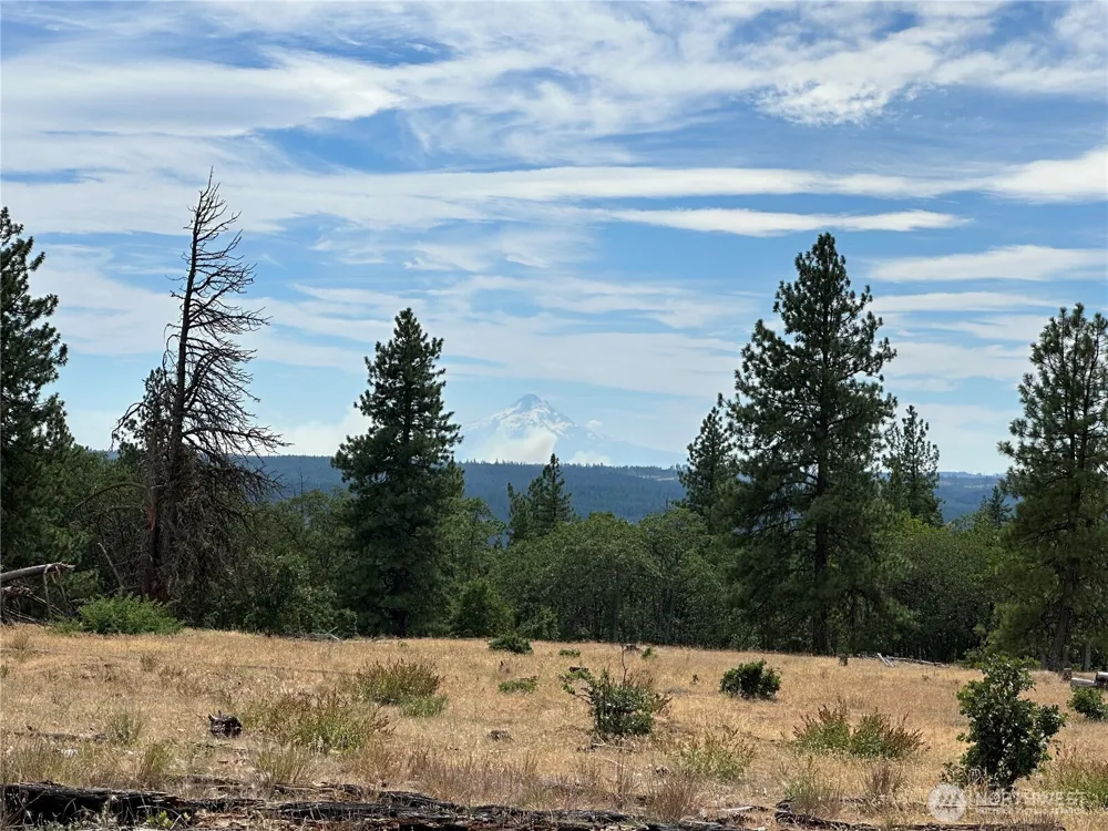 27 Greyback Mtn Road Goldendale, WA 98620