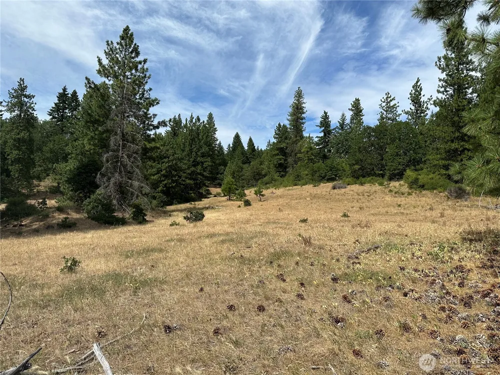 27 Greyback Mtn Road Goldendale, WA 98620