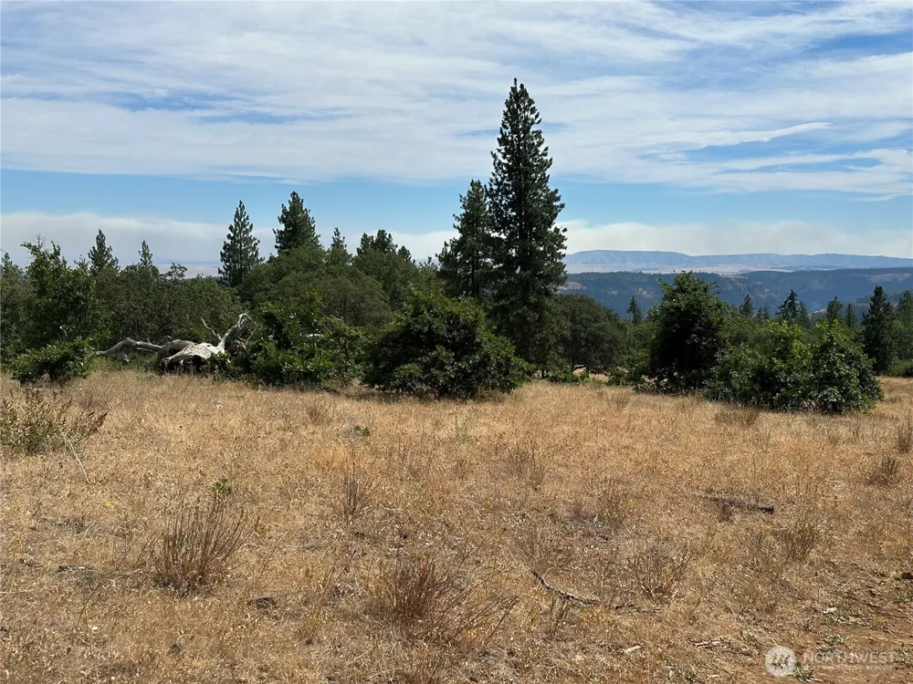 27 Greyback Mtn Road Goldendale, WA 98620