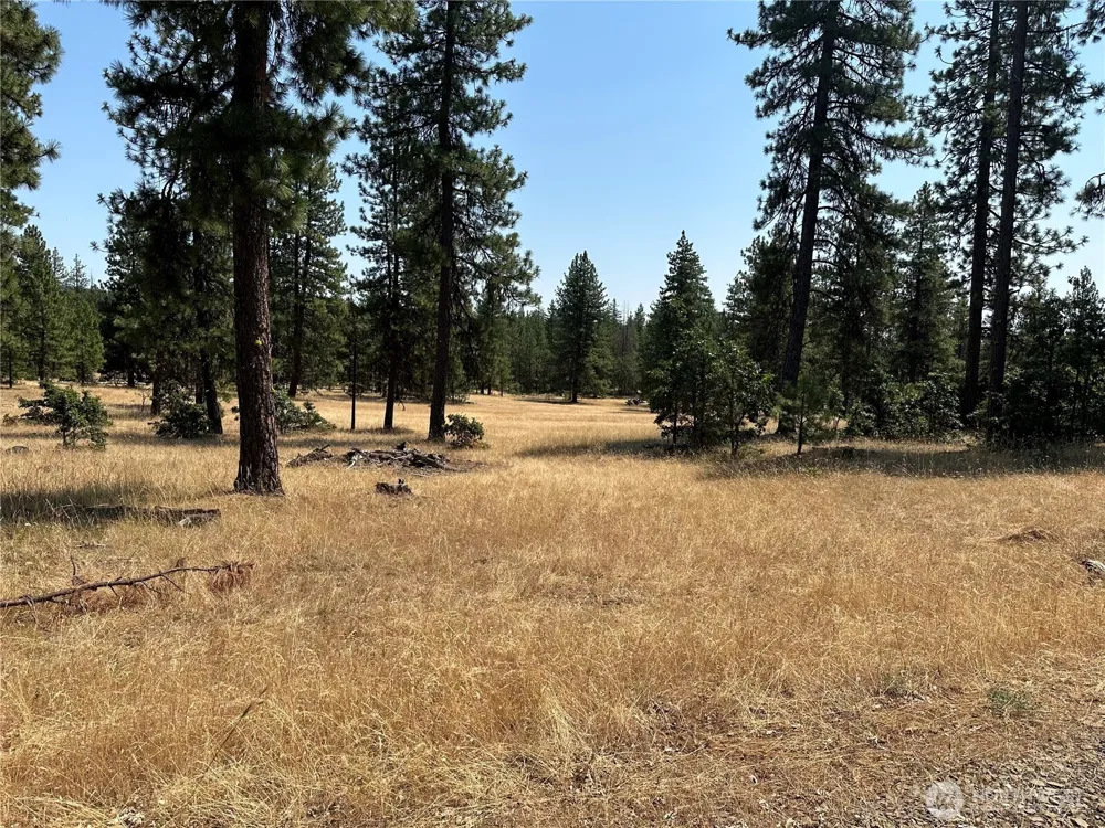 13 Greyback Mtn Road Goldendale, WA 98620
