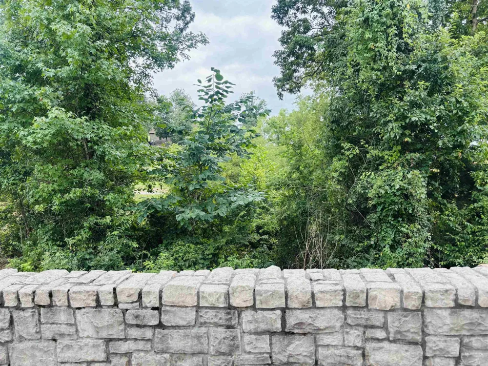 0 RIVERS EDGE CIR Bath Springs, TN 38311