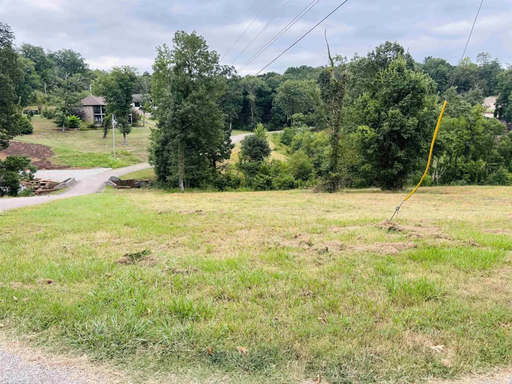 0 RIVERS EDGE CIR Bath Springs, TN 38311