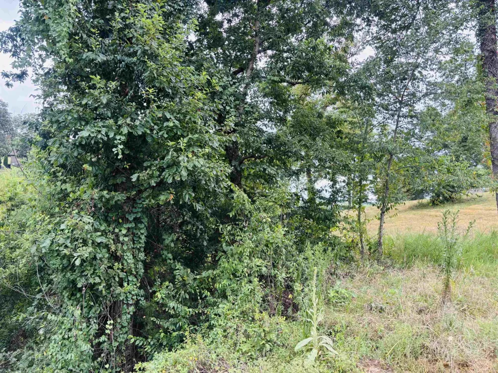0 RIVERS EDGE CIR Bath Springs, TN 38311