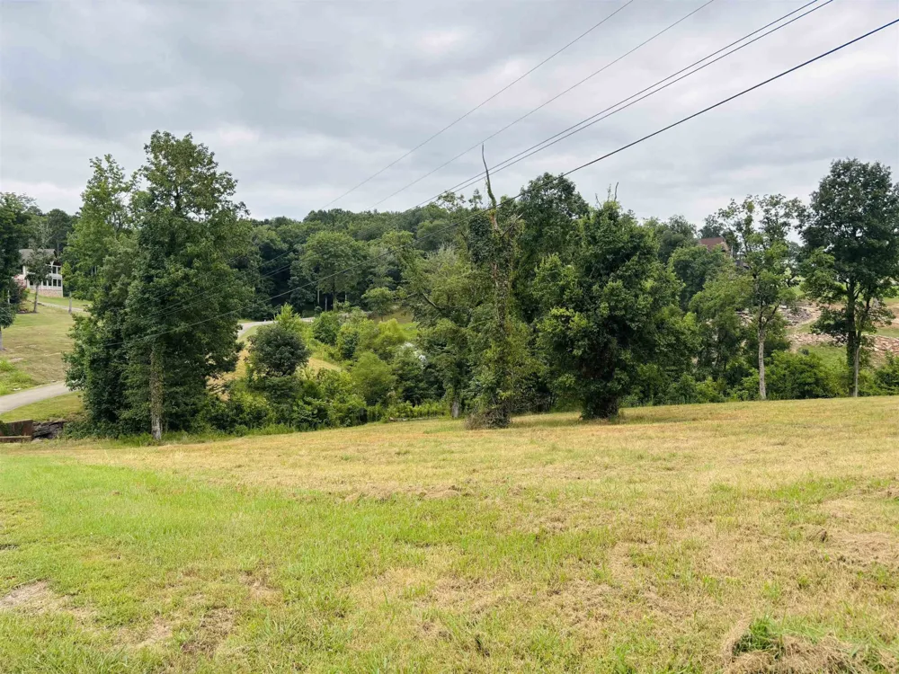 0 RIVERS EDGE CIR Bath Springs, TN 38311