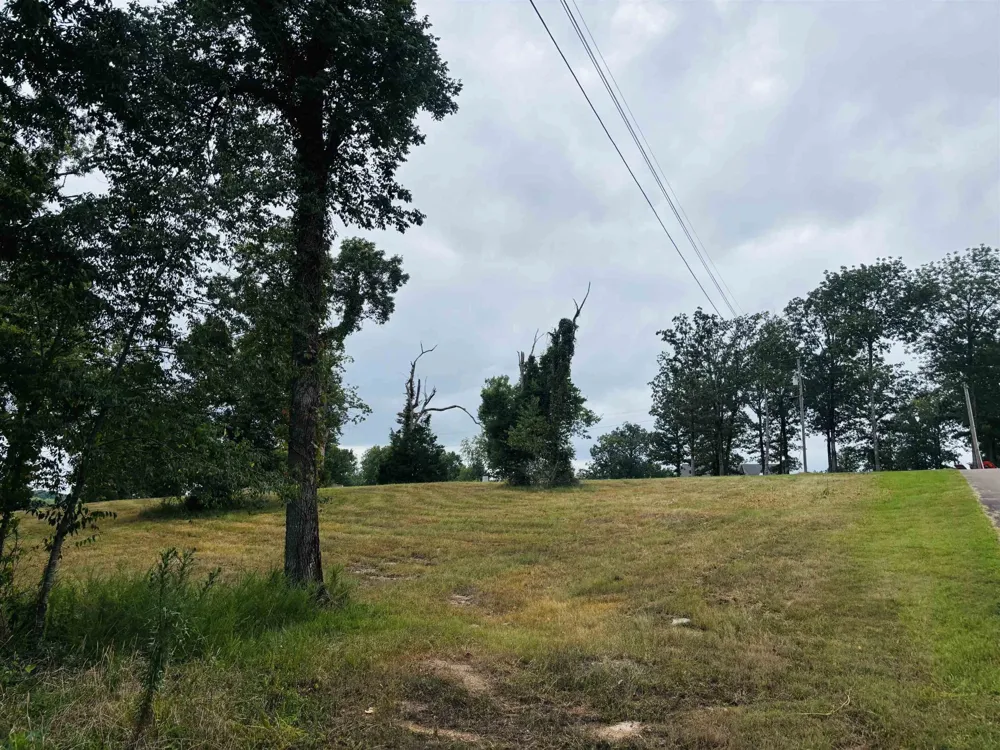 0 RIVERS EDGE CIR Bath Springs, TN 38311