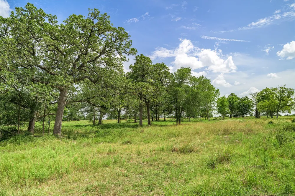 6700 Walhalla Road Round Top, TX 78954